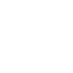 Palmtree 48